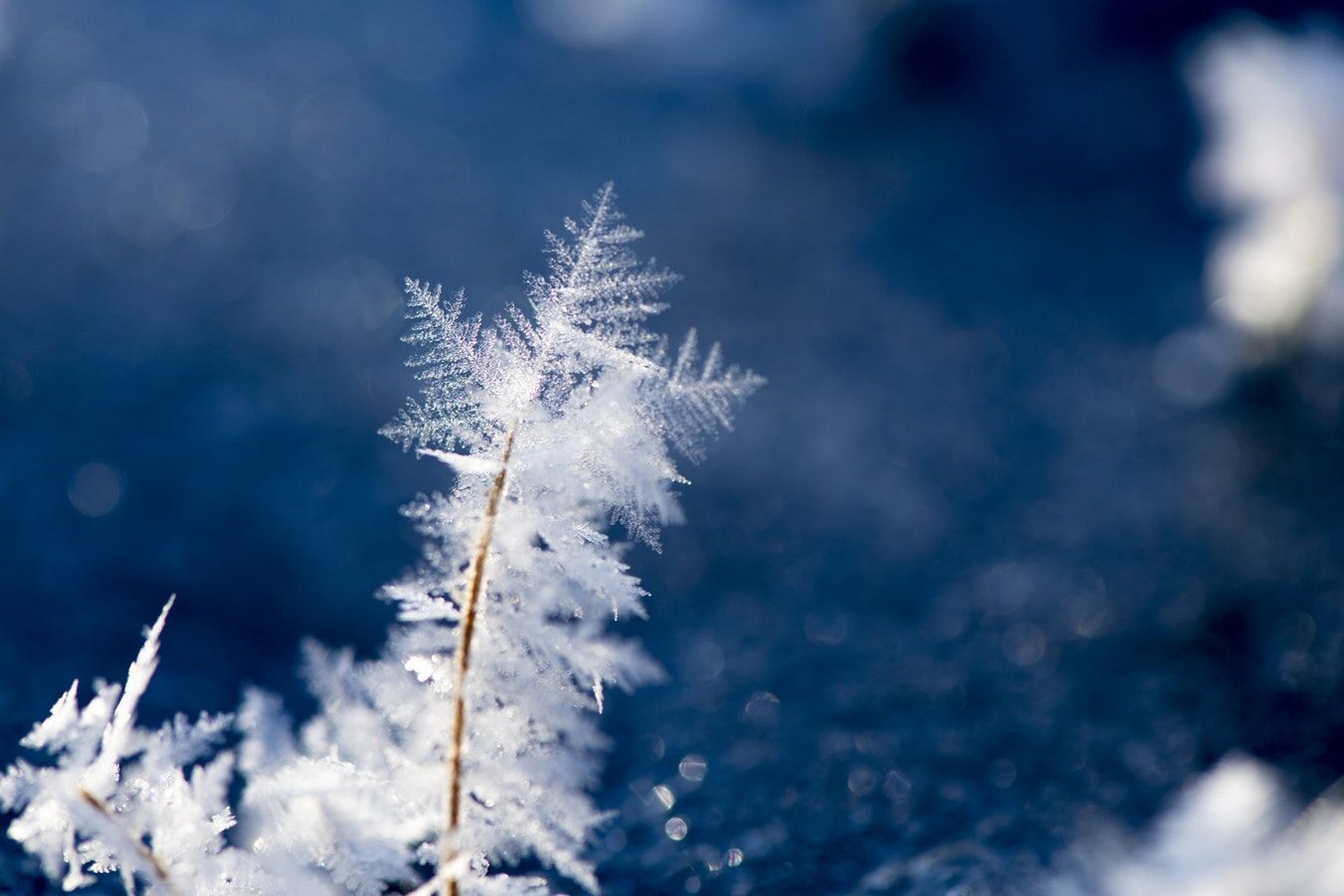 Зимняя сказка: вьюжные и морозные стихи о зиме