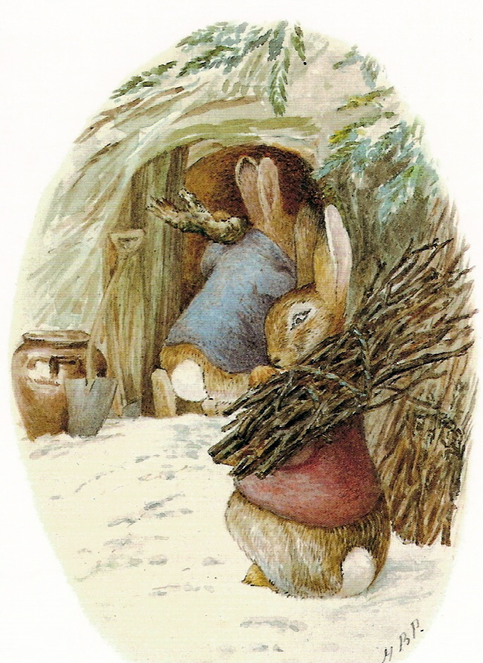 illustration art children book beatrix potter