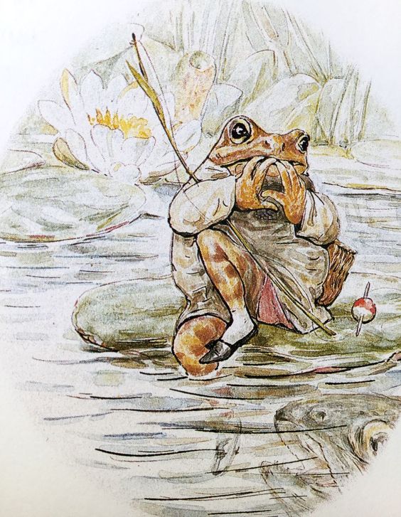 illustration art children book beatrix potter