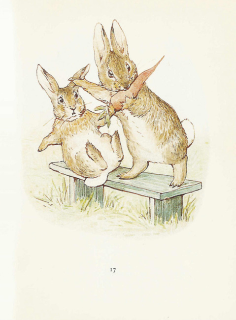 illustration art children book beatrix potter