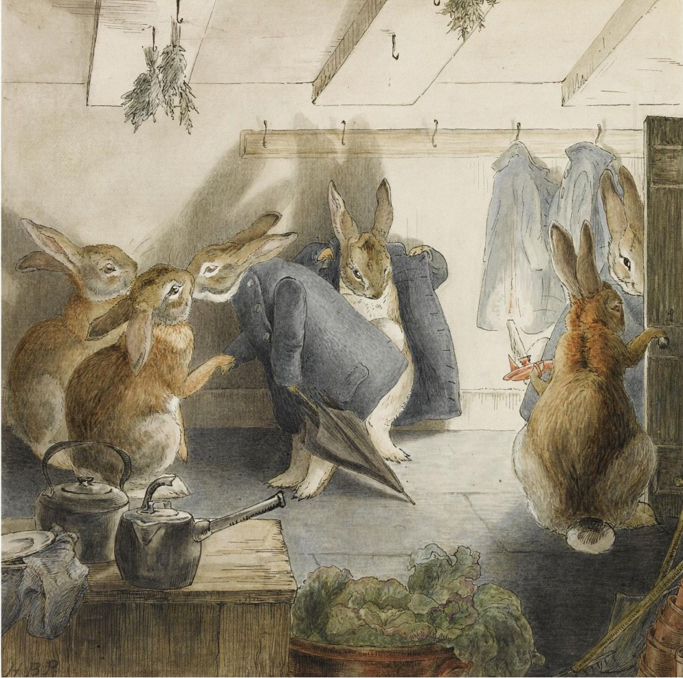 illustration art children book beatrix potter