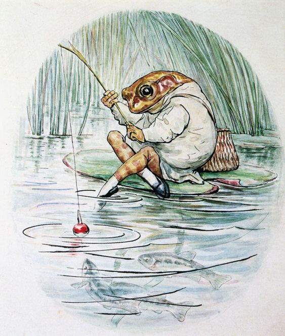 illustration art children book beatrix potter