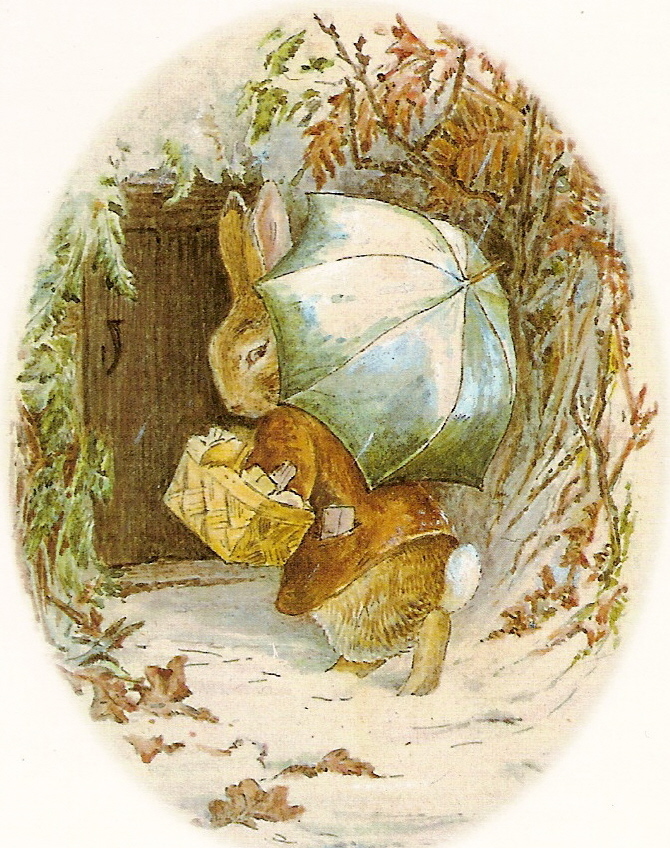 illustration art children book beatrix potter