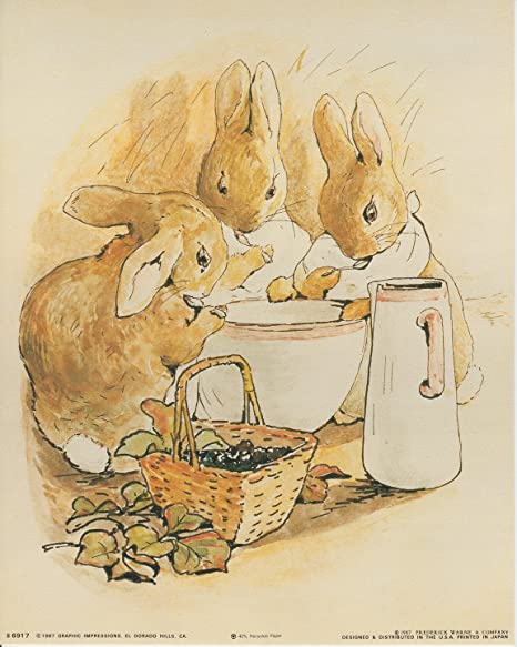 illustration art children book beatrix potter