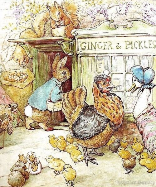 illustration art children book beatrix potter