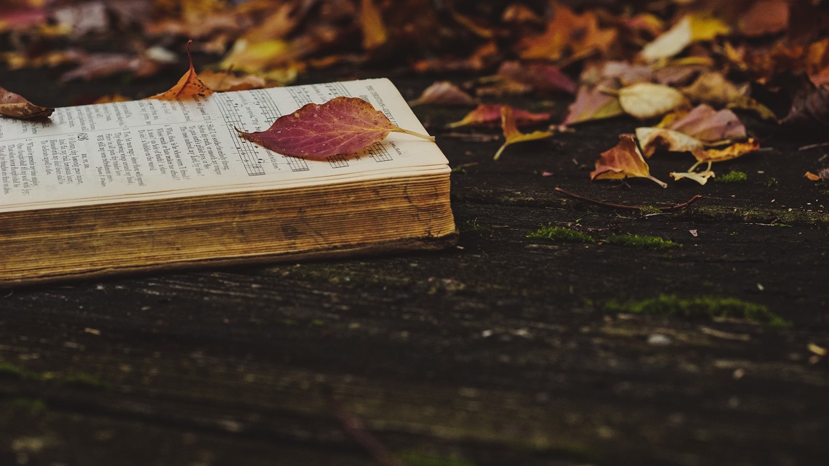 book autumn поезія