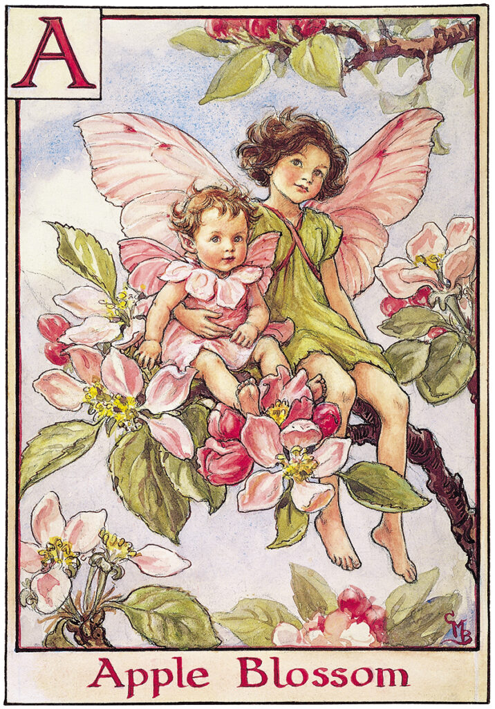 Cicely Mary Barker alphabet fairies bookmarin