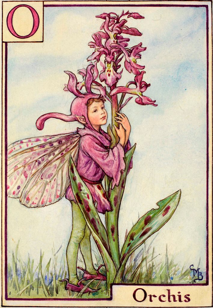 Cicely Mary Barker alphabet fairies bookmarin