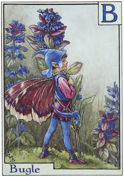 Cute and Charming Flower Fairies Alphabet by Cicely Mary Barker | Bookmarin