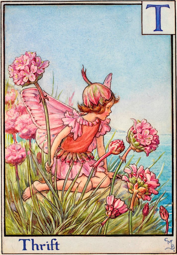 Cicely Mary Barker alphabet fairies bookmarin