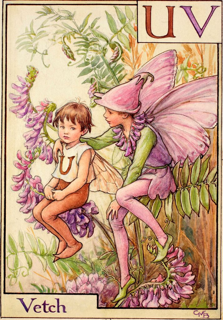 Cicely Mary Barker alphabet fairies bookmarin