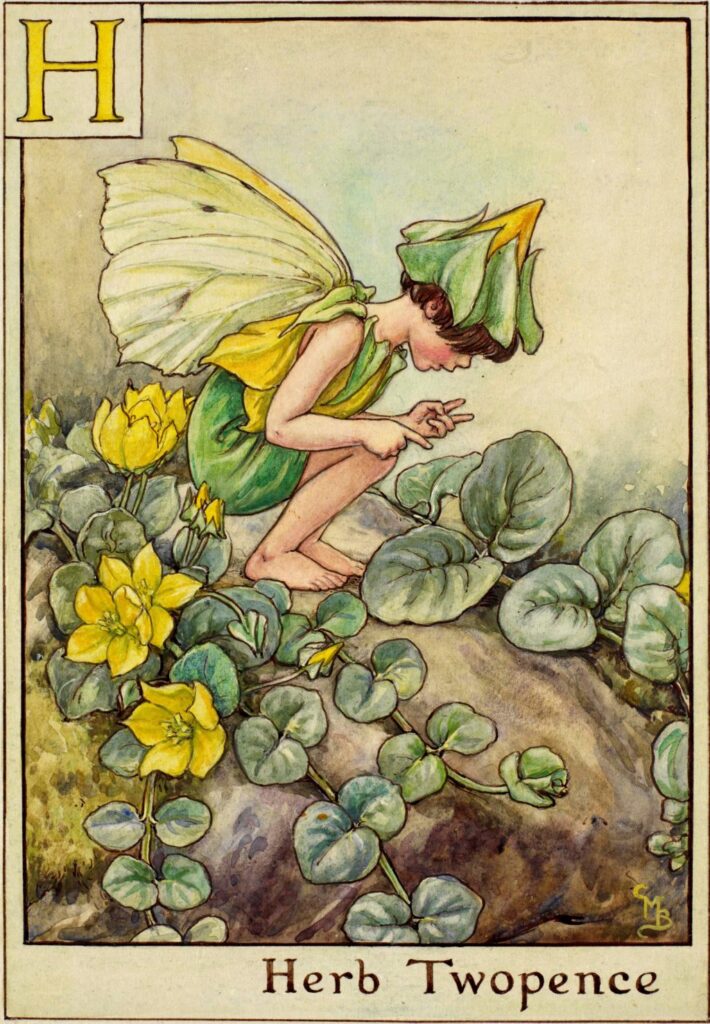 Cicely Mary Barker alphabet fairies bookmarin