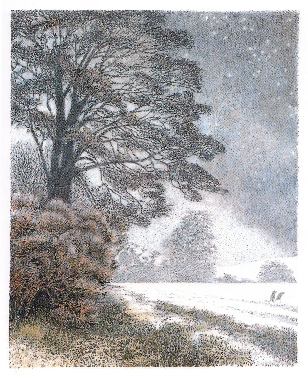 inga moore art book illustrations bookmarin