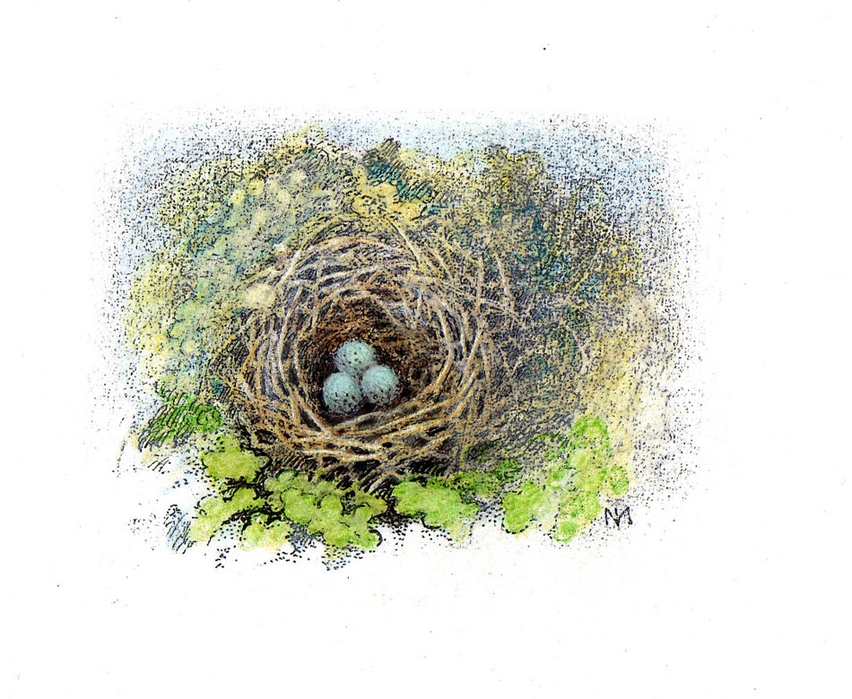 inga moore art book illustrations bookmarin