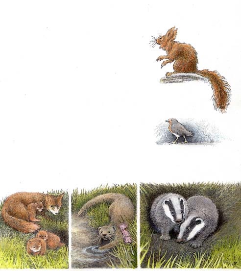 inga moore art book illustrations bookmarin