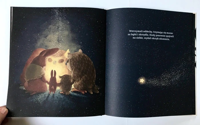 emilia dzubak book illustrations art friends forever