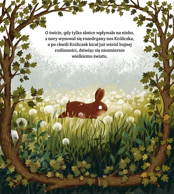 emilia dzubak book illustrations art friends forever