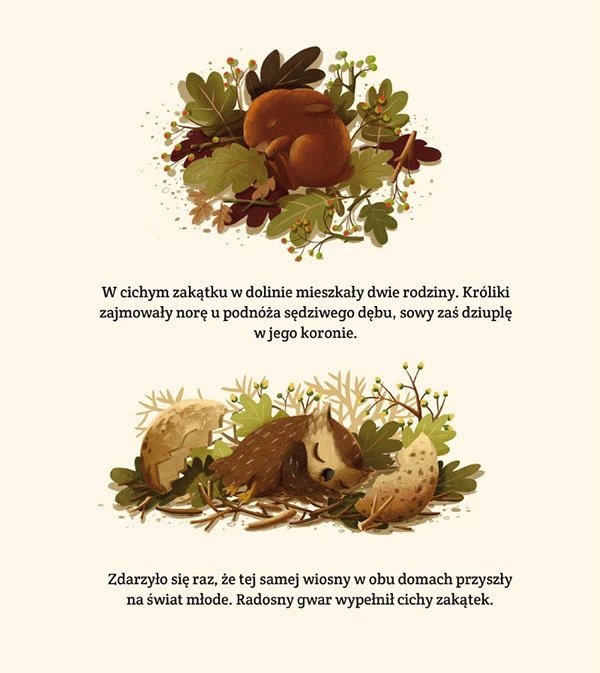 emilia dzubak book illustrations art friends forever
