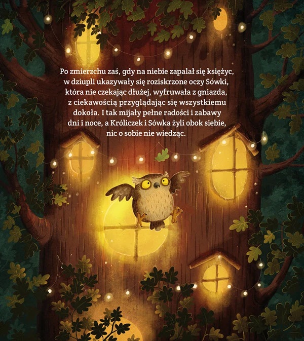 emilia dzubak book illustrations art friends forever