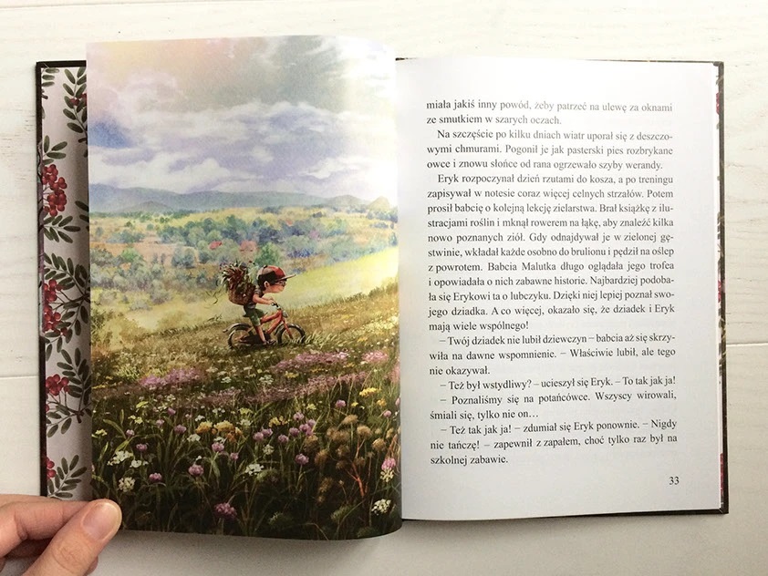 emilia dzubak book illustrations art herbs 