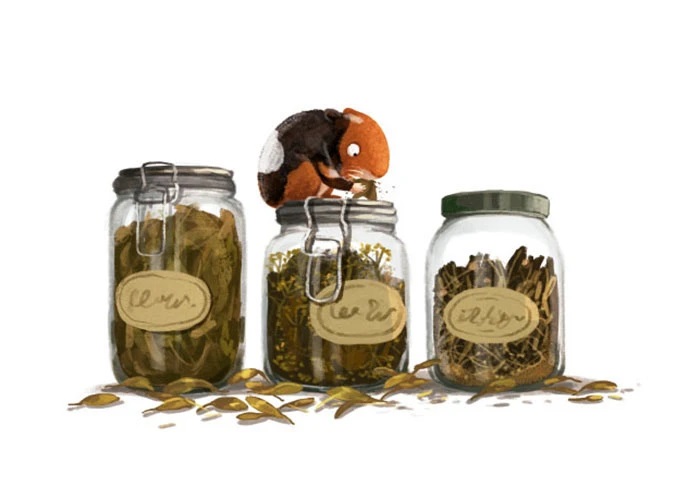 emilia dzubak book illustrations art herbs 