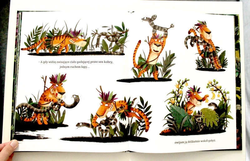 emilia dzubak book illustrations art tiger