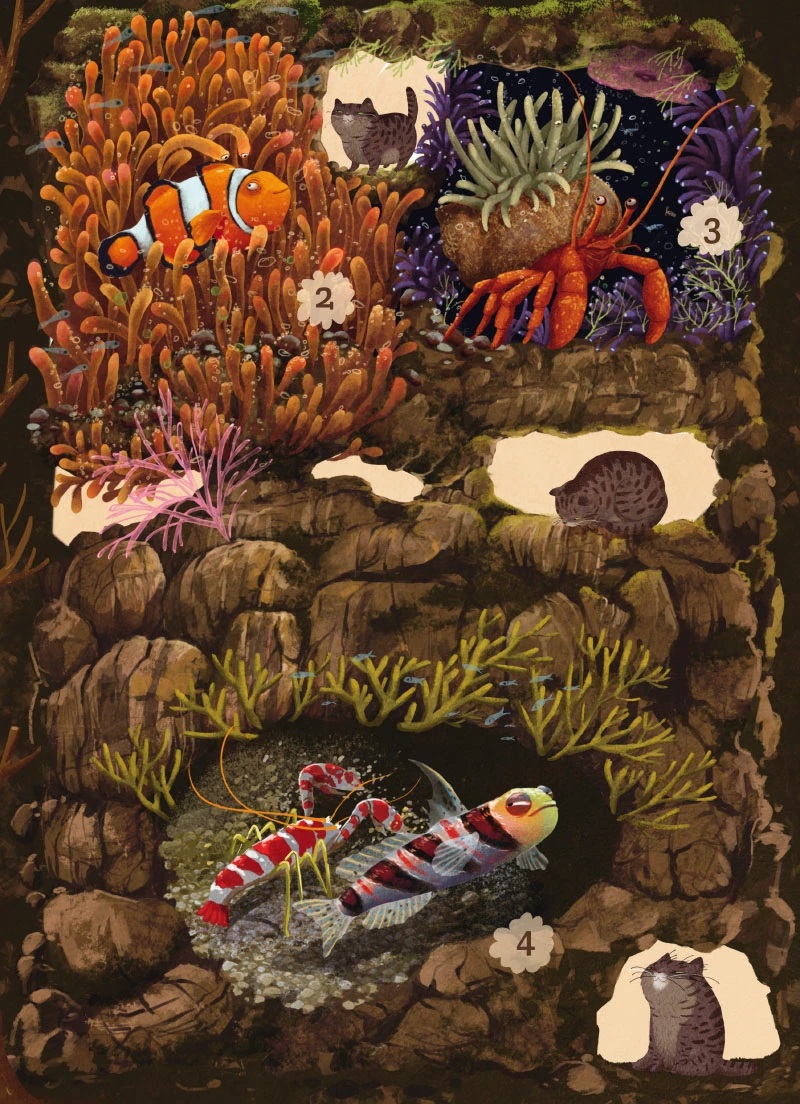 emilia dzubak book illustrations art unusual friends