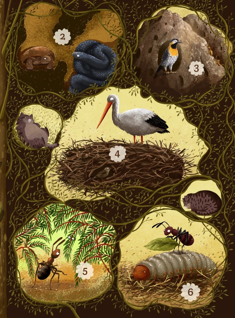 emilia dzubak book illustrations art unusual friends
