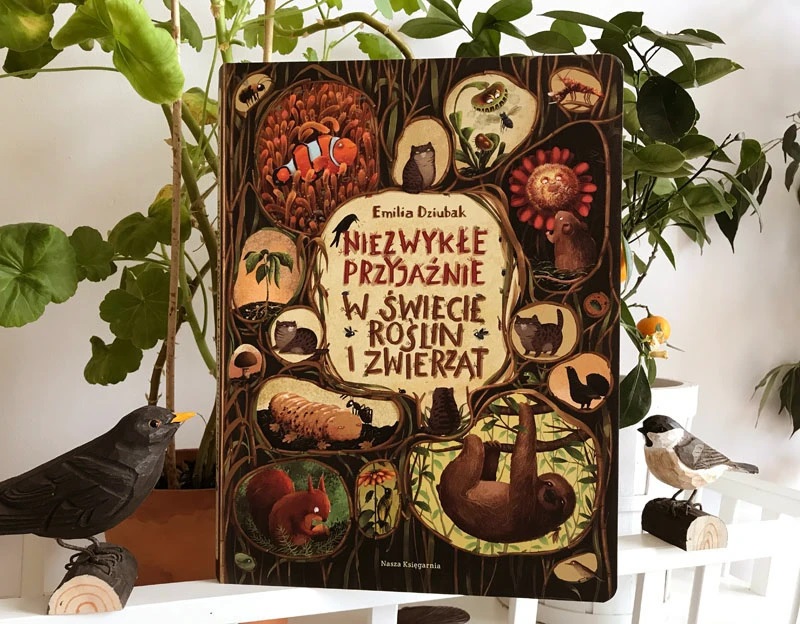 emilia dzubak book illustrations art unusual friends