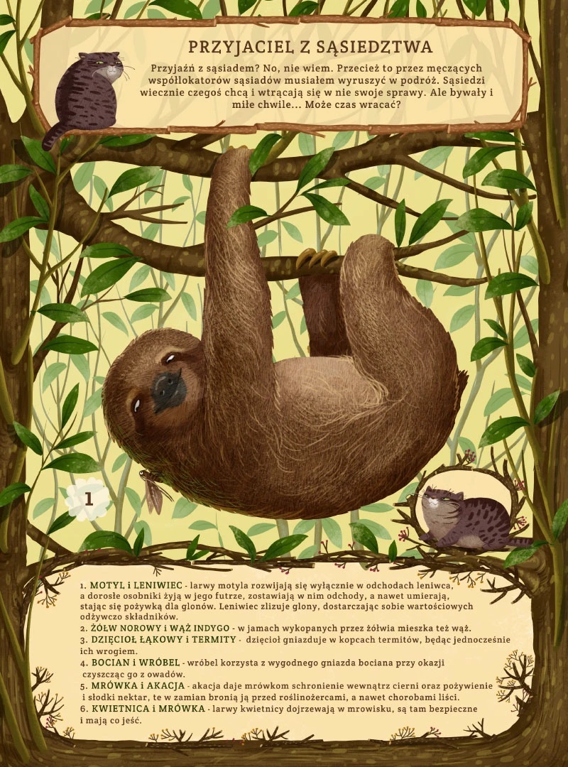 emilia dzubak book illustrations art unusual friends
