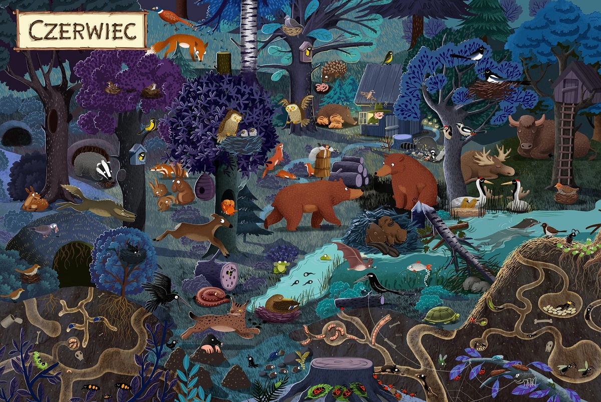 emilia dzubak book illustrations art year in forest