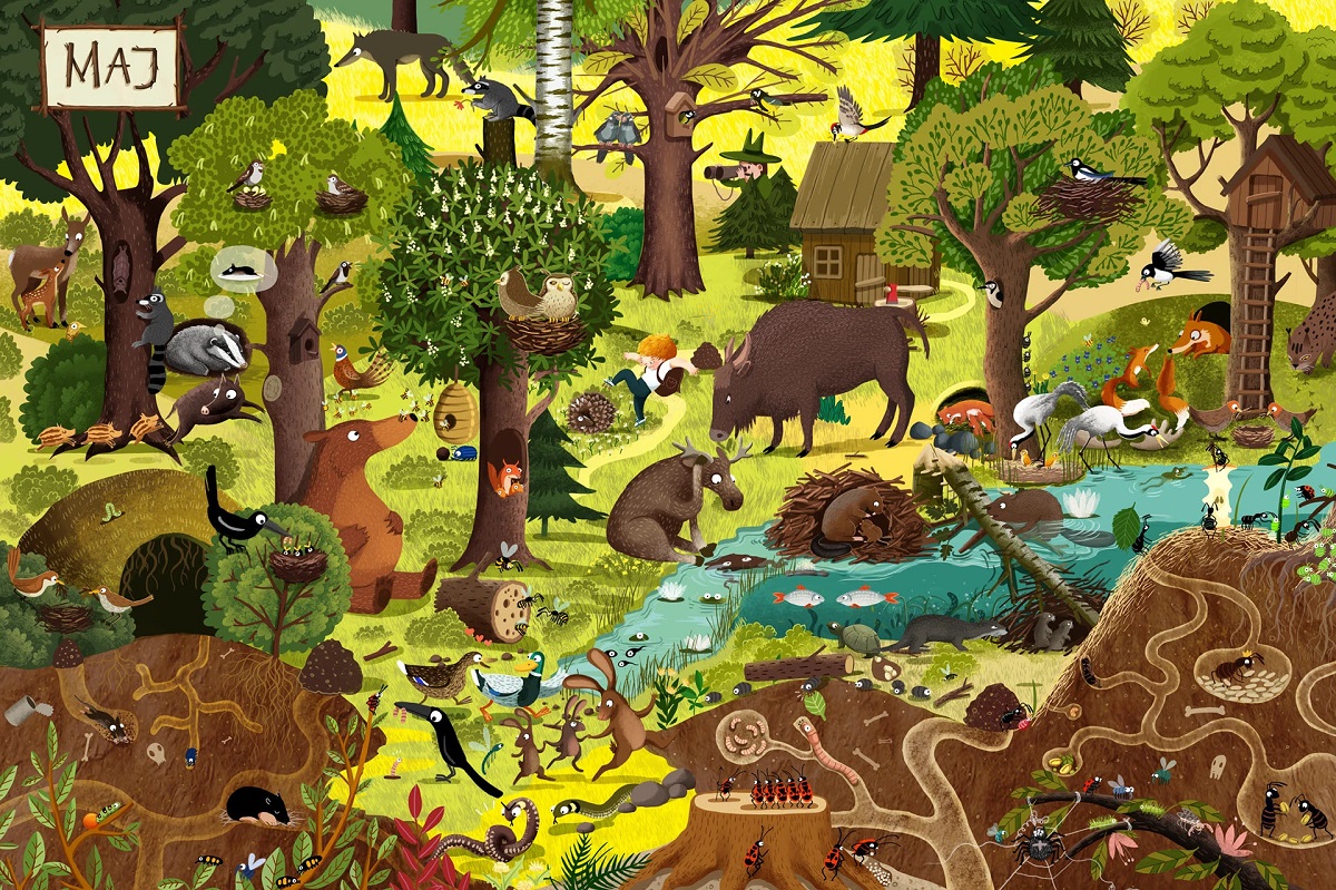 emilia dzubak book illustrations art year in forest
