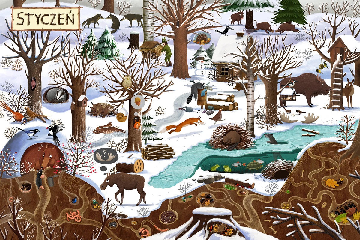emilia dzubak book illustrations art year in forest