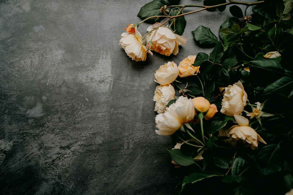 українська поезія ukrainian poetry