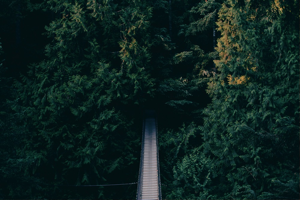 nature book quotes