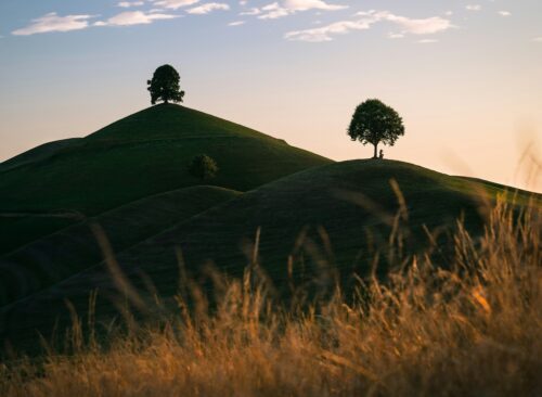 Collection of Poems and Book Quotes About Nature