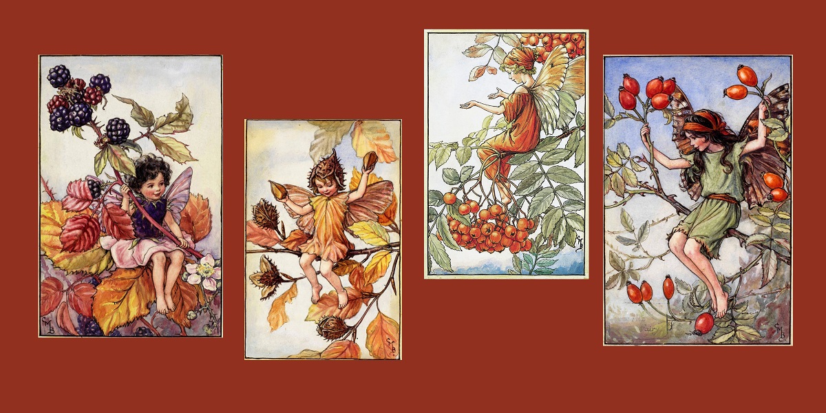Flower Fairies of Autumn: Poetry and Illustrations by Cicely Mary Barker