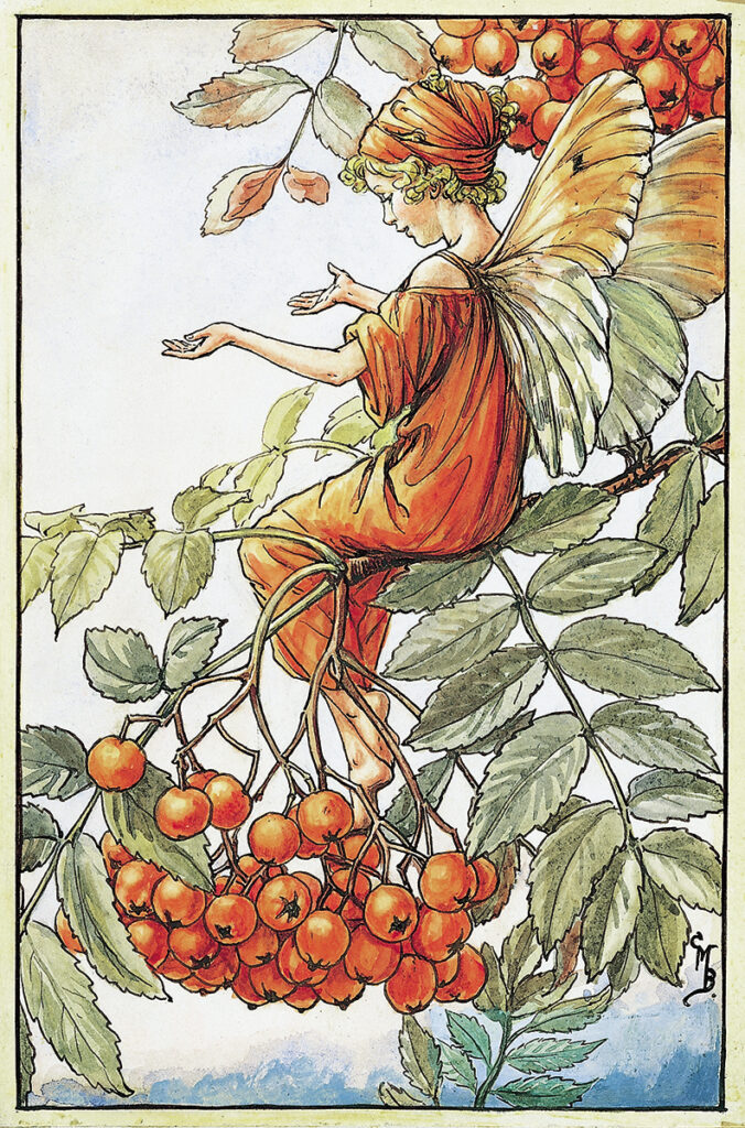 flower fairies of AUTUMN Cicely Mary Barker
