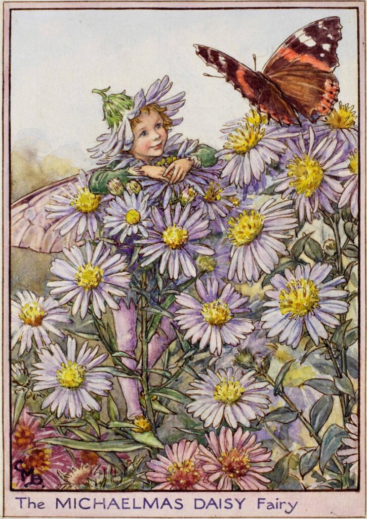 flower fairies of AUTUMN Cicely Mary Barker