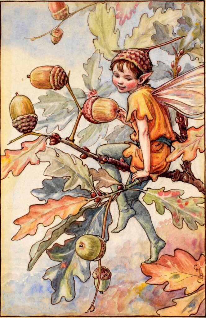 flower fairies of AUTUMN Cicely Mary Barker