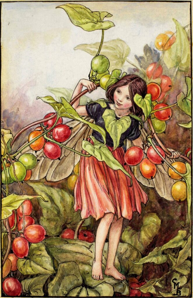 flower fairies of AUTUMN Cicely Mary Barker