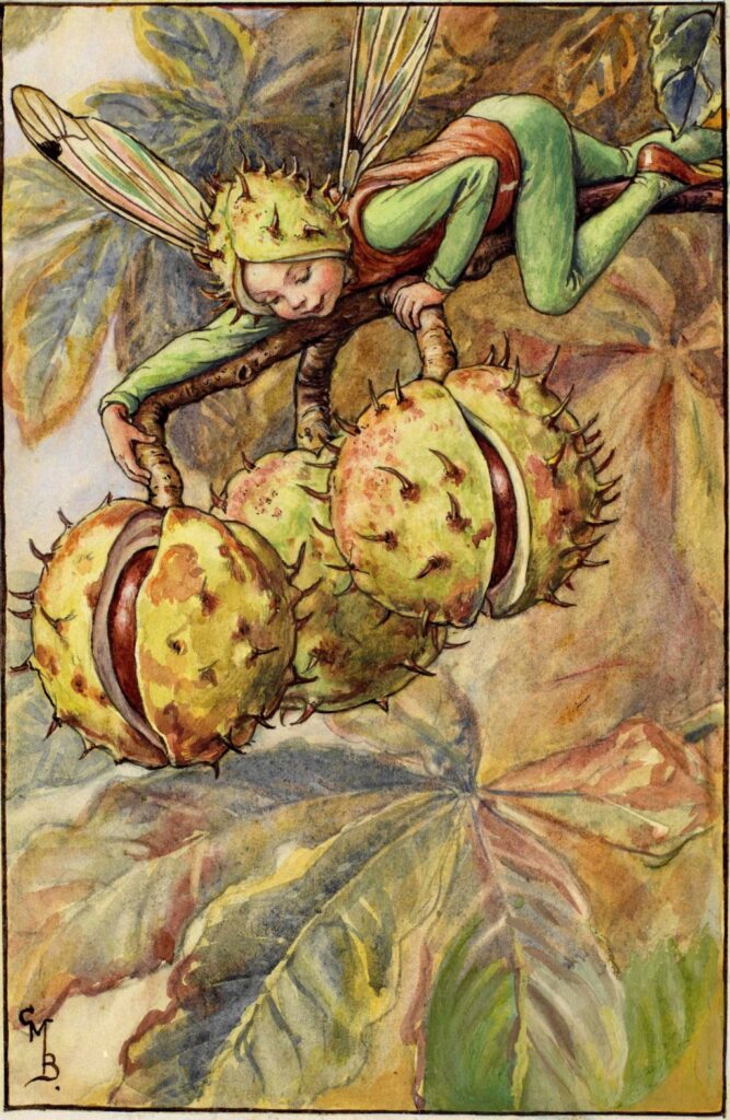 flower fairies of AUTUMN Cicely Mary Barker