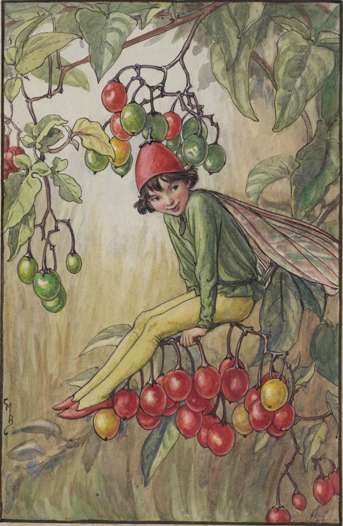 flower fairies of AUTUMN Cicely Mary Barker 