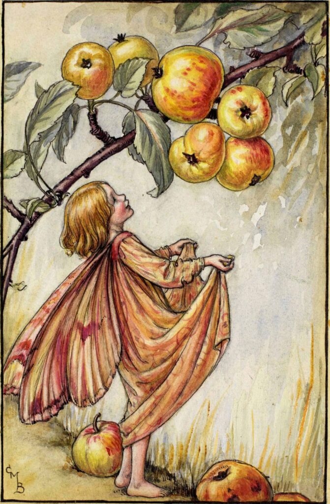 flower fairies of AUTUMN Cicely Mary Barker