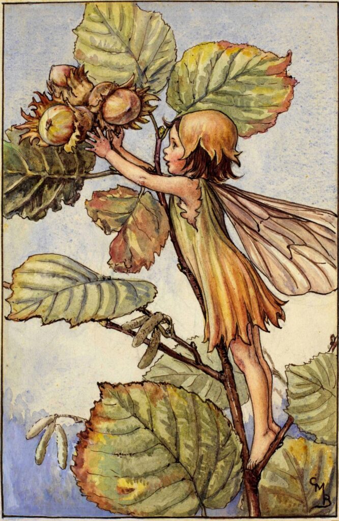 flower fairies of AUTUMN Cicely Mary Barker 