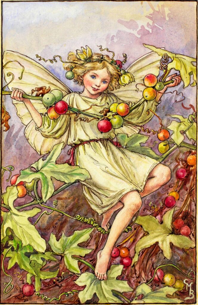 flower fairies of AUTUMN Cicely Mary Barker