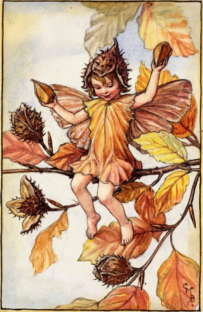flower fairies of AUTUMN Cicely Mary Barker 