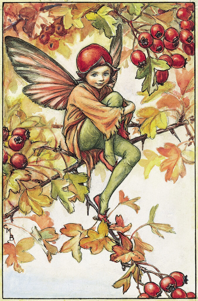 flower fairies of AUTUMN Cicely Mary Barker