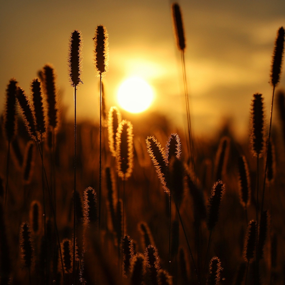 українська поезія вірші bookmarin