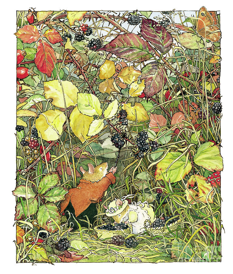 blackberry-picking-brambly-hedge bookmarin illustration